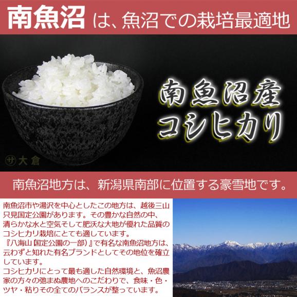 《 無洗米 》 魚沼産 コシヒカリ （令和6年産） 2kg03
