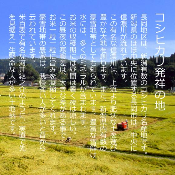 新米予約 〔 特別栽培米 〕新潟県産 コシヒカリ （ 長岡産 ） （ 令和8年産 ） 5kg  送料無料（ 本州のみ ）  9月中旬頃発送開始予定（9/17（木）頃目安）02