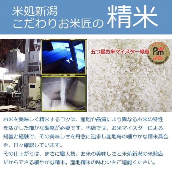 新米予約 〔 特別栽培米 〕新潟県産 コシヒカリ （ 長岡産 ） （ 令和8年産 ） 5kg  送料無料（ 本州のみ ）  9月中旬頃発送開始予定（9/17（木）頃目安）04