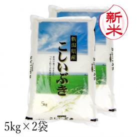 新米予約 新潟県産こしいぶき （令和7年産） 10kg （5kg×2袋）【送料無料（本州のみ）】9月上旬頃発送開始予定（9/4（木）頃目安）