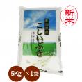 新米予約 新潟県産こしいぶき (令和8年産) 5kg 【送料無料(本州のみ)】9月上旬頃発送開始予定(9/1(火)頃目安)