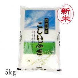 新米予約 新潟県産こしいぶき （令和7年産） 5kg 【送料無料（本州のみ）】9月上旬頃発送開始予定（9/4（木）頃目安）