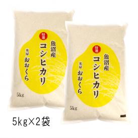 米 10kg 魚沼産 コシヒカリ 特選 （ 令和5年産 ）10kg （5kg×2袋）【 送料無料 （ 本州のみ ）】