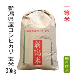 数量限定入荷【 一等米 】 米 30kg 新潟県産コシヒカリ 令和7年産 玄米 30kg 送料無料 本州のみ