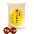 魚沼産 コシヒカリ 特選 （ 令和6年産 ） 5kg 【 送料無料 （ 本州のみ ）】
