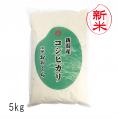 新米予約 新潟県産コシヒカリ （令和7年産） 5kg 【送料無料（本州のみ）】9月中旬頃発送開始予定（9/12（金）頃目安）