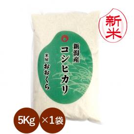 新米予約 新潟県産コシヒカリ （令和8年産） 5kg 【送料無料（本州のみ）】9月中旬頃発送開始予定（9/10（木）頃目安）