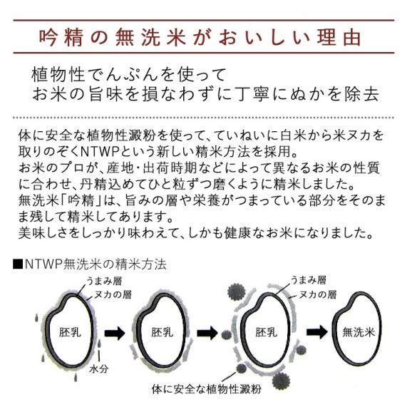 《 無洗米 》 魚沼産 コシヒカリ （ 令和6年産 ） 4kg （2kg×2袋）【 送料無料 （本州のみ）】02