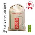 【新米予約】《精米無料》新潟県産コシヒカリ（令和8年産）玄米30kg【送料無料（本州のみ）】9月下旬頃発送開始予定（9/25（金）頃目安）