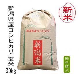 【新米予約】《精米無料》新潟県産コシヒカリ（令和8年産）玄米30kg【送料無料（本州のみ）】9月下旬頃発送開始予定（9/25（金）頃目安）