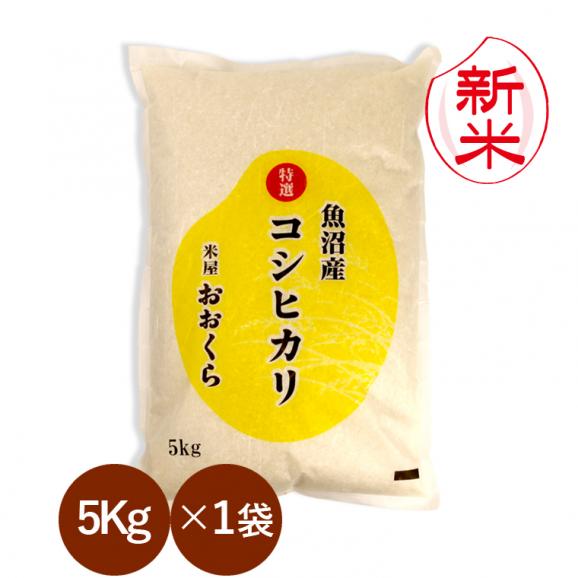 新米予約 魚沼産コシヒカリ （ 特選 ）（ 令和8年産 ） 5kg 【 送料無料 （ 本州のみ ）】   9月下旬頃発送開始予定（9/25（金）頃目安）01
