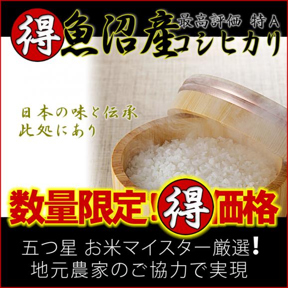 新米予約 魚沼産コシヒカリ （ 特選 ）（ 令和6年産 ） 5kg 【 送料無料 （ 本州のみ ）】   10/3（木）～10/4（金）順次発送開始予定02