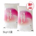 新米 新潟県産 ミルキークイーン （ 令和8年産 ） 10kg （5kg&times;2袋）【 送料無料 （本州のみ）】