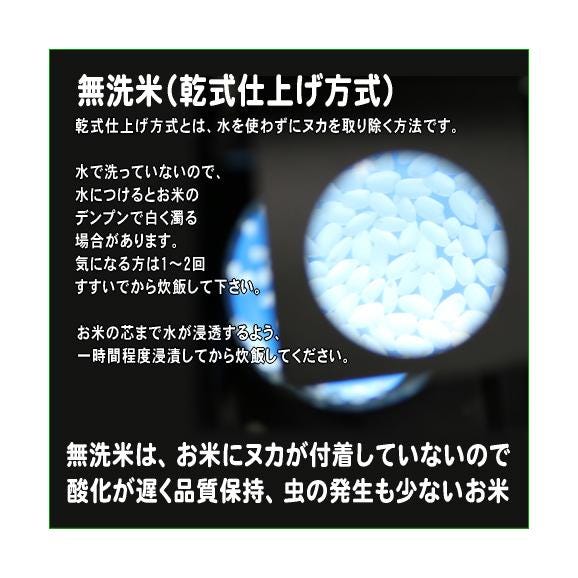  【 無洗米 （ 乾式 ）】 新潟県産 コシヒカリ （ 令和5年産 ） 5kg 【 送料無料 （ 本州のみ ）】02