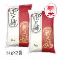 新米 新之助 新潟米 （ 令和8年産 ） 10kg  （ 5kg×2袋 ）【 送料無料 （本州のみ）】