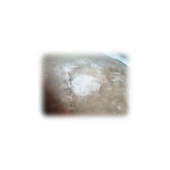 佐渡藻塩（200g）03