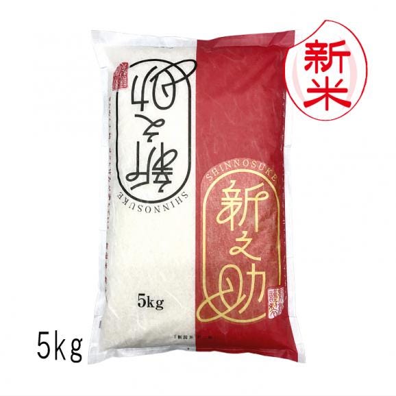 新米予約 新之助 新潟米 ( 令和8年産 ) 5kg 【 送料無料 ( 本州のみ )】10月上旬頃発送開始予定(10/1(木)頃目安)01