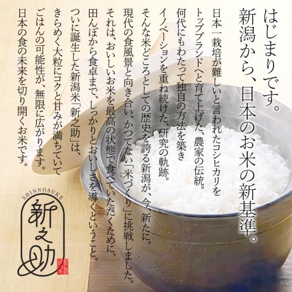 新米予約 新之助 新潟米 ( 令和8年産 ) 5kg 【 送料無料 ( 本州のみ )】10月上旬頃発送開始予定(10/1(木)頃目安)03
