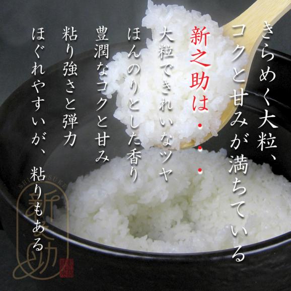 新米予約 新之助 新潟米 （ 令和8年産 ） 2kg 【 送料無料 （ 本州のみ ）】10月上旬頃発送開始予定（10/1（木）頃目安）04