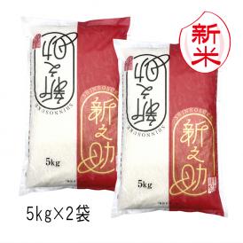 新米予約 新之助 新潟米 （ 令和6年産 ） 10kg （5kg×2）【 送料無料 （ 本州のみ ）】10月中旬頃より順次発送開始予定（10/15（火）頃目安）