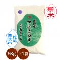新米予約  無洗米（ 乾式 ） 新潟県産 コシヒカリ （ 令和8年産 ） 5kg  送料無料 （ 本州のみ ）9月中旬頃発送開始予定（9/10（木）頃目安）