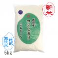 新米予約  無洗米（ 乾式 ） 新潟県産 コシヒカリ （ 令和7年産 ） 5kg  送料無料 （ 本州のみ ）9月中旬頃発送開始予定（9/12（金）頃目安）