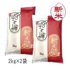 新米予約 新之助 新潟米 （ 令和8年産 ） 4kg （2kg×2袋）【 送料無料 （ 本州のみ ）】10月上旬頃発送開始予定（10/1（木）頃目安）