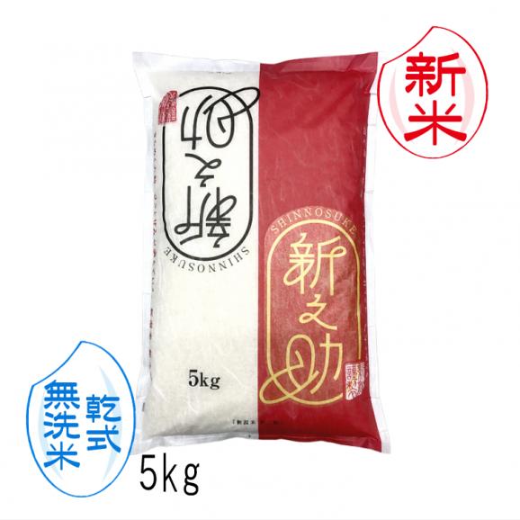 新米予約 無洗米 乾式 新之助 新潟米 （ 令和8年産 ） 5kg 【 送料無料 （ 本州のみ ）】10月上旬頃発送開始予定（10/1（木）頃目安）01
