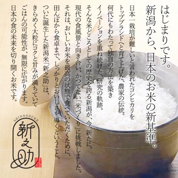 無洗米（乾式） 新潟米 新之助 使い切りパック300g（約2合） （令和5年産）06