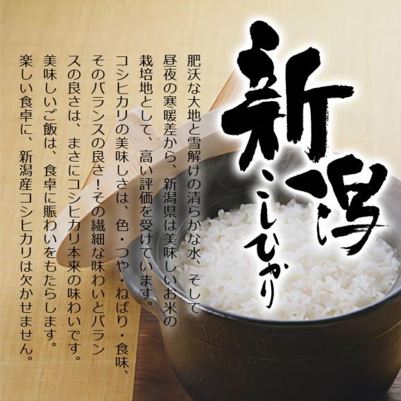 無洗米（乾式） 新潟県産 コシヒカリ 使い切りパック300g（約2合） （令和5年産）05