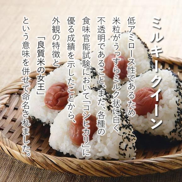 無洗米（乾式） 新潟県産 ミルキークイーン 使い切りパック300g（約2合） （令和6年産）04