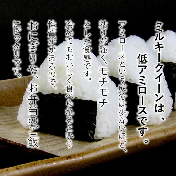 無洗米（乾式） 新潟県産 ミルキークイーン 使い切りパック300g（約2合） （令和6年産）05