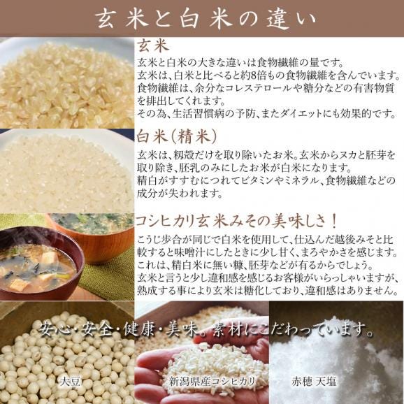 コシヒカリ玄米みそ 袋入　500g04