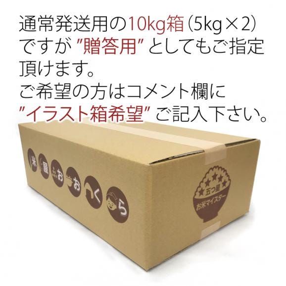 無洗米 （ 乾式 ）  新潟県産 ミルキークイーン 10kg （5kg&times;2袋）（令和7年産）  【 送料無料 （本州のみ）】05
