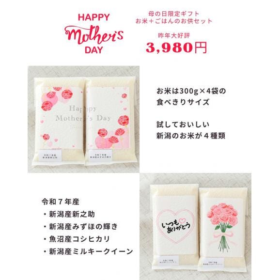 母の日 ギフト お米 4種セット 無洗米 ／ 新之助 ミルキークイーン 魚沼産コシヒカリ みずほの輝き 簡単ごはんの素 2P  送料無料 (本州のみ）※他商品の同梱不可02