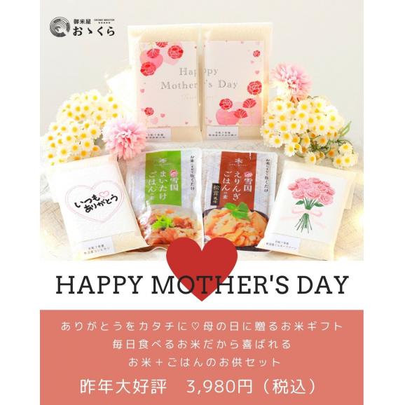 母の日 ギフト お米 4種セット 無洗米 ／ 新之助 ミルキークイーン 魚沼産コシヒカリ みずほの輝き 簡単ごはんの素 2P  送料無料 (本州のみ）※他商品の同梱不可03