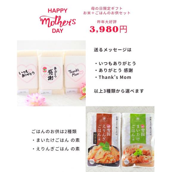 母の日 ギフト お米 4種セット 無洗米 ／ 新之助 ミルキークイーン 魚沼産コシヒカリ みずほの輝き 簡単ごはんの素 2P  送料無料 (本州のみ）※他商品の同梱不可04