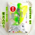 新米 新潟県産葉月みのり(令和8年産)5kg【送料無料(本州のみ)】