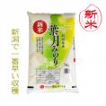 新米  新潟県産葉月みのり（令和7年産）5kg【送料無料（本州のみ）】