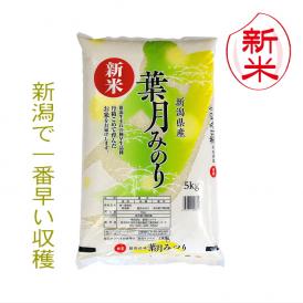 新米  新潟県産葉月みのり（令和7年産）5kg【送料無料（本州のみ）】