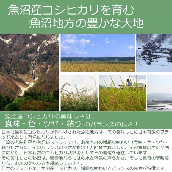 使い切りパック300g（約2合）無洗米 魚沼産 コシヒカリ （令和7年産） 3パック 送料無料 ※同梱不可03