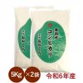 蔵出し特価 【令和6年産】 新潟県産 コシヒカリ ( 令和6年産 )10kg (5kg×2袋)【 送料無料 ( 本州のみ )】