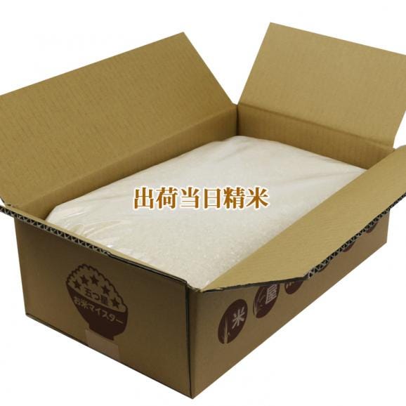 マイスター厳選 生活応援米 10kg 匠のブレンド米 国内産米100% 【 送料無料 (本州のみ)】04