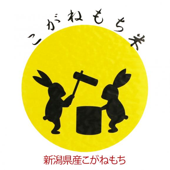 もち米 新潟県産 こがねもち 使い切りパック300g(約2合)( 令和7年産 ) 04