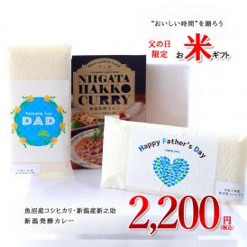 父の日 ギフト 2026【限定】無洗米 魚沼産コシヒカリ＆新之助 食べ比べ＋新潟発酵カレー｜3点セット｜本州送料無料｜他商品同梱不可