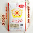新米 新潟県産 なつひめ( 令和8年産 ) 5kg 【 送料無料 】