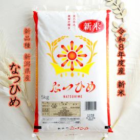 新潟県の新品種!新米