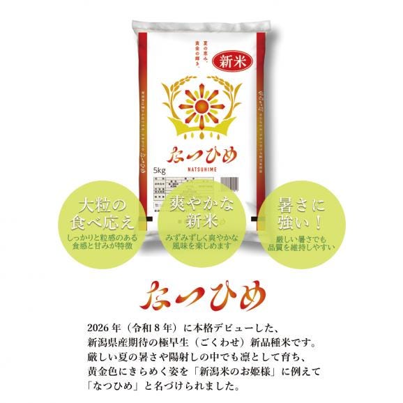 新米 新潟県産 なつひめ（ 令和8年産 ） 5kg 【 送料無料 】03