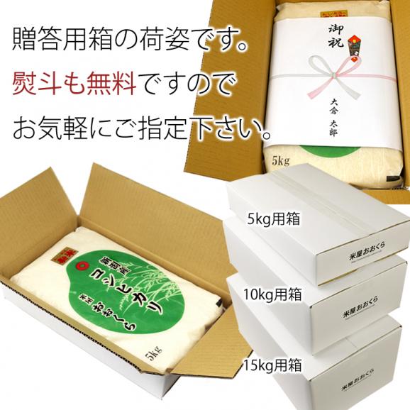 新米 新潟県産 なつひめ（ 令和8年産 ） 5kg 【 送料無料 】04