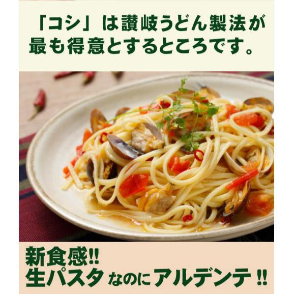 【送料無料】さぬき生パスタ（スパゲッティ）6食分 250g×3袋 セット 生パスタ 本場讃岐うどん製法04